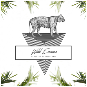 I Miss You (Original Mix)