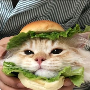 天降爱情（Prod by Gr33nart Beats）