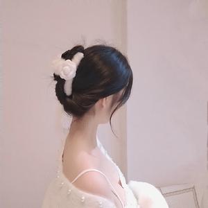 丁香花 (抖音版)