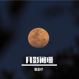月影阑珊