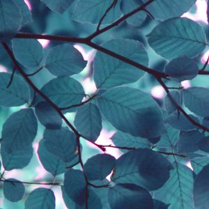 微妙的晚上放松心情