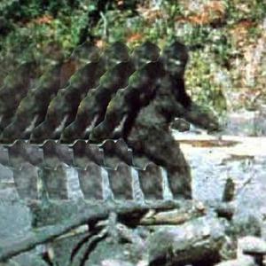 Bigfoot