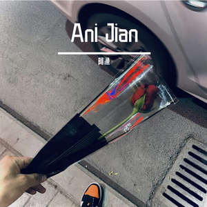 Ani Jian