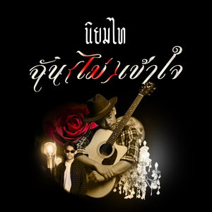 ฉัน(ไม่)เข้าใจ