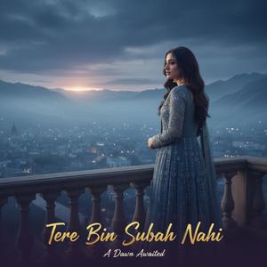 Tere Bin Subah Nahi