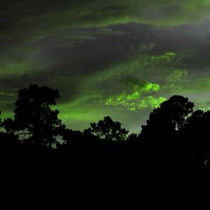 The Devil Wears You Like A Glove