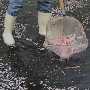 分身情人_Kristen（翻自 魏晨）