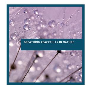 Transfixing Woodland Ambience