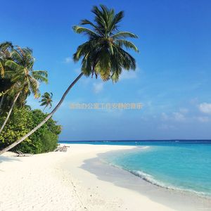 适合办公事务开心的音乐