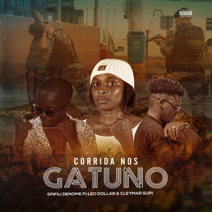 Corrida nos Gatunos