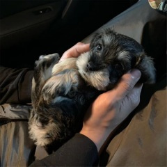 三天三夜的雨 (DJ版)