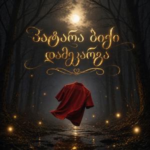 პატარა ბიჭი დამეკარგა