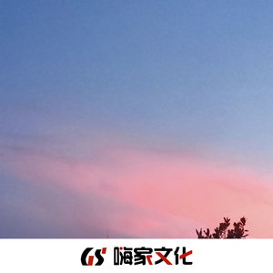 我长大要开飞机