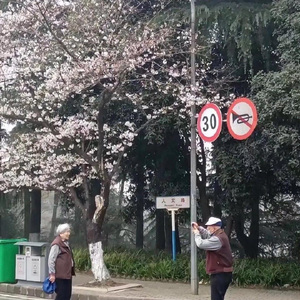 我怕你已走又怕你未至