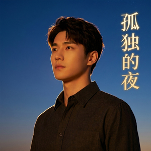 寂寞在唱歌