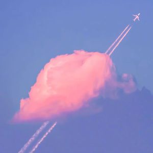 赧然的贼（Cover 焦迈奇 ）