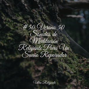 Amanecer en La Arenosa Playa