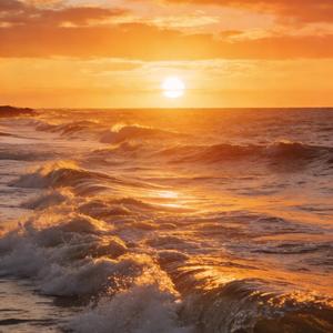 《为家付出的爸爸》