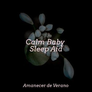 Vagabundeos Lúcidos