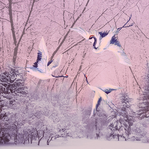 Snow on the Mountains