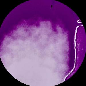 Hustle A Dream (Instrumental)