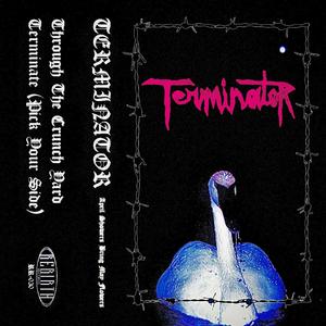 Terminate (Pick Your Side)