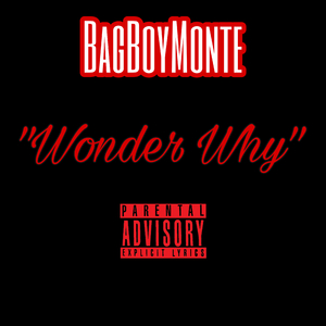 Wonder Why (Long Live Ed)