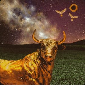 Taurus