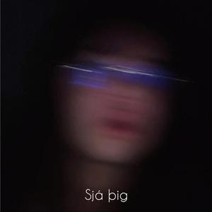Sjá þig