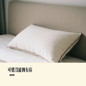 可惜没能拥有你