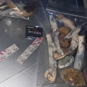 Variety