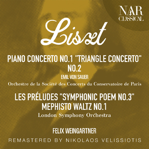 Piano Concerto No.1, in E-Flat Major, S.124, IFL 295:I. Allegro maestoso