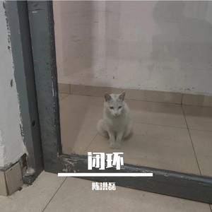 闭环（new life）