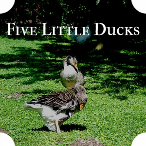 Five Little Ducks