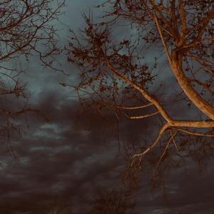 怪我（my fault）