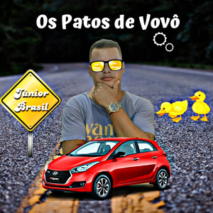 Os Patos de Vovô