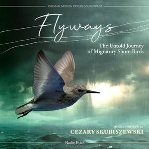 Flyways