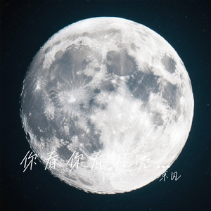 你看你看月亮的脸