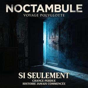 Si Seulement