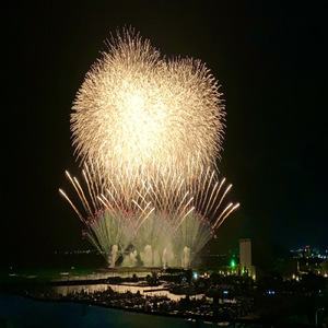 トレジャー (feat. Miro9)