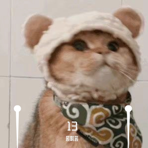 13（翻自 金玟岐）