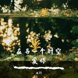 在另一个时空爱你