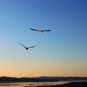 Louie Louie (feat. Jörgen Karlsson & Fredrik Tibblin)