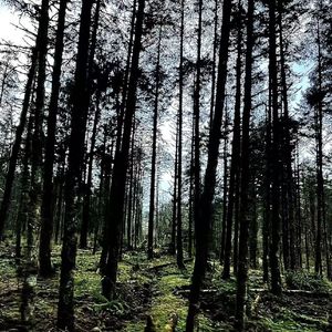 相聚不多，希望远方的你一切都好