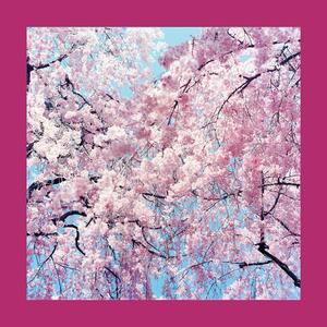 When I Wake Up (feat. Kaitlyn Herrick & Park)