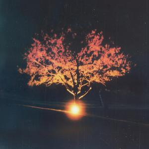 Aum Meaning (Om intro) [feat. Nalini]