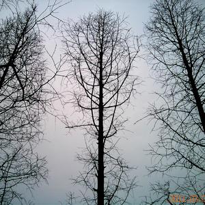 寄回上海的信  (demo)