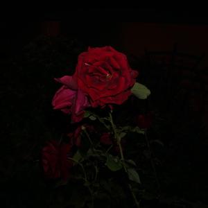 Halotti Beszéd (feat. Hontalann, Jé & HBluez)