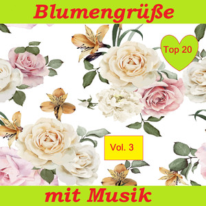 Tanz mit-Potpourri: Wein, Weib und Gesang / Schatz-Walzer / Rosen aus dem Süden / Morgenblätter / An der schönen blauen Donau