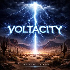 VOLTACITY
